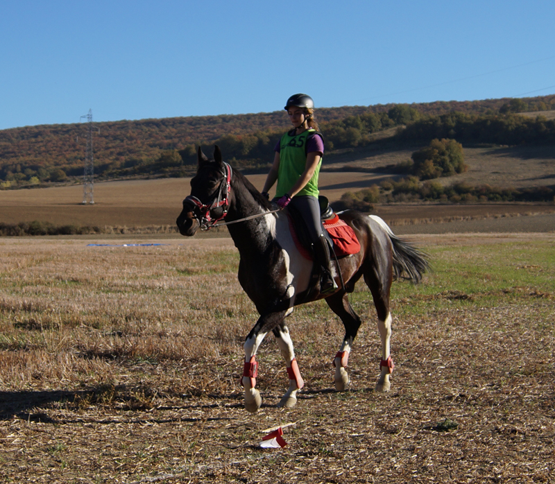 El CH Zolina acogió el Campeonato Navarro de TREC